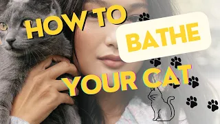 how to bathe your cat that hates water (A Step-by-Step Guide)