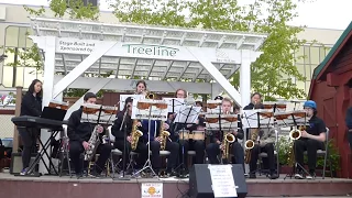 You Are The Sunshine Of My Life (AA) | Scappoose Jazz Band