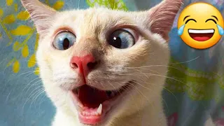 Funniest Dogs And Cats Videos 😁 - Best Funny Animal Videos 2023 😇#95