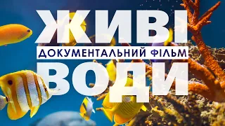 Живі води: Інтелектуальний дизайн в океанах Землі | Документальний фільм | Міфи еволюції