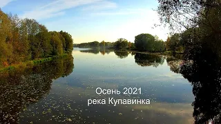 Осень 2021. Река Купавинка (Видеозарисовка)