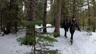 Trillium Lake | Exploring Mt. Hood | Hiking in the Snow Around a Lake