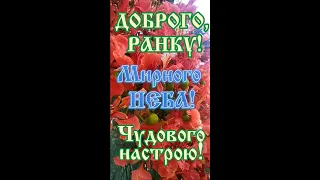 З Добрим, Недільним Ранком! Приємного дня! Чудового настрою! #short #shortvideo #shortsvideo