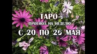 Гороскоп на неделю с 20 по 26 мая 2019 года на картах ТАРО Телема!