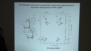 Польшаков В. И. - Физические методы биохимии - Ядерный магнитный резонанс. Часть 2
