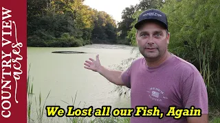 All of the Fish Died in our Pond, Again!!!