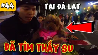 #44: TIN VUI - ĐÃ TÌM THẤY EM SU XÍ XỌN BỎ NHÀ ĐI TÌM BA MẸ TẠI ĐÀ LẠT | CHÚ CHÓ ĐI HAI CHÂN