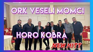 Ork Veseli Momci New ☆ Oro KOBRA ☆ 2023 / 2024 official Audio