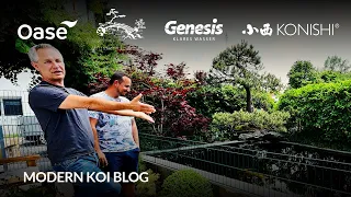 Modern Koi Blog #5991 - Franzi und Johannes’ hochgemauerter 10t Liter Teich im typischen Japanstyle