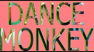 Tones and I - Dance Monkey [Lyrics & Chords]