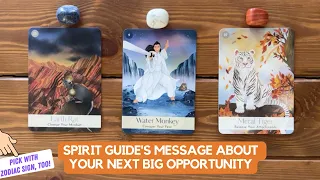 Spirit Guide's Message About Your Next Big Opportunity | Timeless Reading