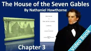 Chapter 03 - The House of the Seven Gables by Nathaniel Hawthorne - The First Customer