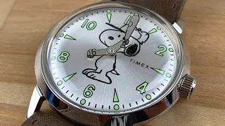 Timex (fun watch) TW2R94900VQ