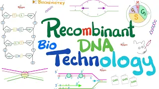 Recombinant DNA technology (Biotechnology) | Molecular Biology 🧬 & Biochemistry