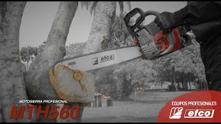 Motosierra Efco MTH560