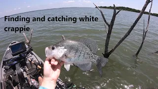 How to find and catch white crappie on a lake with both species! Slabs caught with these tips!