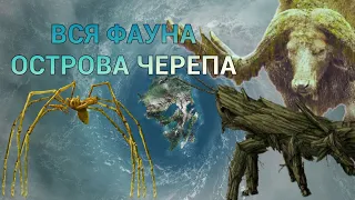 ВСЯ ФАУНА ОСТРОВА ЧЕРЕПА | MONSTERVERSE