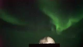 Aurora Borealis and Meteor at Churchill, Manitoba, Canada