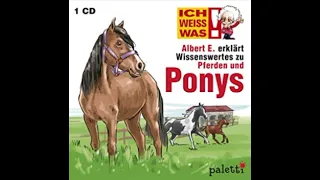 Albert E. erklärt wissenswertes zu Pferden und Ponys