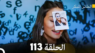 مسلسل الطائر المبكر الحلقة 113 (Arabic Dubbed)