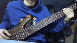 Funktionality - Redtenbachers Funkestra (Bass Cover)