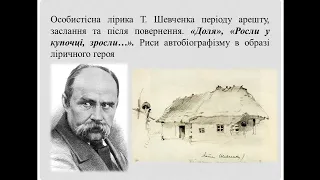 9 клас. Українська література.Т.Шевченко"Доля","Росли укупочці зросли..."