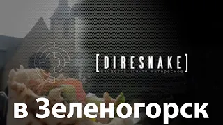 Велодорожка (нет) в Зеленогорск