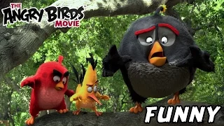 Angry Birds Movie 2016 Commercial