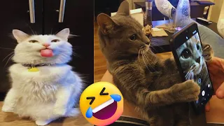 Funny Animals videos 2023 - Funniest Cats and Dogs 2023 - Try not lough 💞 part 10