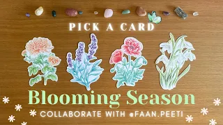 ฤดูกาลแห่งความยินดีครั้งถัดไปจะพัดพามาถึงเมื่อไหร่ 🌼🍄 PICK A CARD จากดอกไม้ Faan.peeti 🌈😊