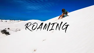 The Radical Times Ep. 2 - ROAMING