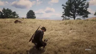 Red Dead Redemption 2 Legendary Buffalo No Commentary