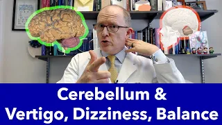 Cerebellum Malfunction Causes Vertigo, Dizziness, Balance Problems