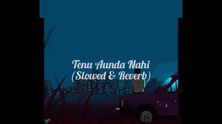 TENU AUNDA NAHI - (slow n reverb)