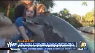 Dolphin bites girl at SeaWorld Orlando