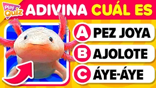 Adivina el nombre de Animales Extraños y Curiosos 🦁🐙🐍 | Play Quiz de Animales Exóticos