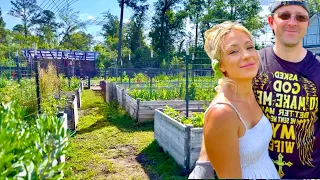 Grow a Garden - May Vegetables! (Garden Tour 4)