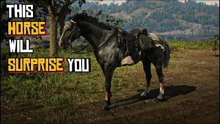 RDR2 - It’s Better Than You Know : Rabicano Resilience & Rehab : Claim This Horse As Yours