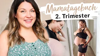 2. Trimester mit ZWILLINGEN: Beschwerden, Ängste, Gewicht & Babybauch