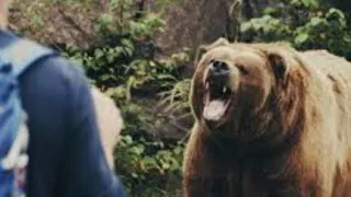 Grizzly Attack, Lived To Tell