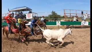 Dia de Toros coleados en Dallas Texas Eps 1-2. coleos y entrevistas, . 🔥Panas Adventures.🐴