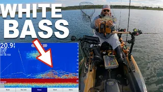 This Is How I Kayak Fish For White Bass, Crappie, & Bluegills.