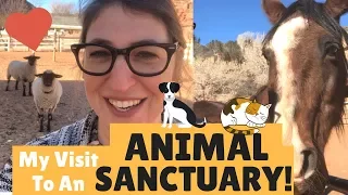 My Visit to Best Friends Animal Sanctuary in Utah! || Mayim Bialik