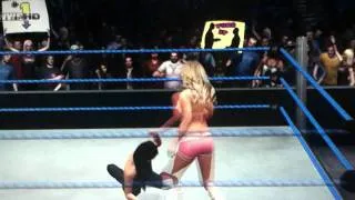Money in the Bank 2011 - Kelly Kelly vs Brie Bella