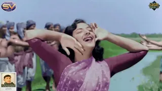 Panchi Banu Urti Phiro Mast Gagan Mein{Eagle Jhankar}