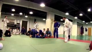 Summer BJJ - совместная тренировка Ronin Family & Creonche