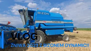 Vlog Z Koszenia ! Bizon Dynamic Z115 Turbo 3B #zniwa2023