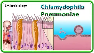 Chlamydophila Pneumoniae Animation : Microbiology USMLE Step 1