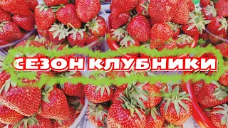 СЕЗОН КЛУБНИКИ в САМАРКАНДЕ/ОБЗОР ЦЕН на ПЕРВЫЕ ЯГОДЫ и ФРУКТЫ #узбекистан #самарканд #ранокамолова