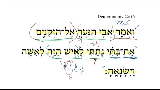 Deuteronomy 22:16